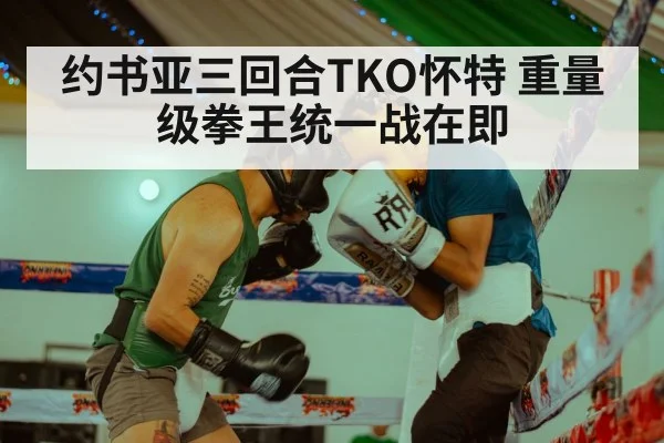 约书亚三回合TKO怀特 重量级拳王统一战在即