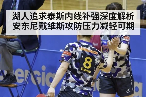 湖人追求泰斯内线补强深度解析安东尼戴维斯攻防压力减轻可期