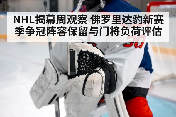 ice hockey goalie in net